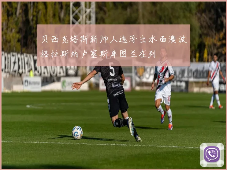 贝西克塔斯新帅人选浮出水面澳波格拉斯纳卢塞斯库图兰在列